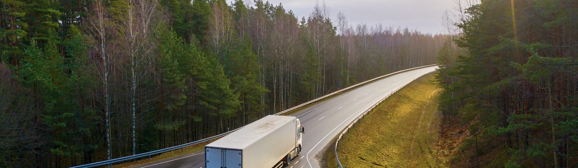 A truck on a road between a forest